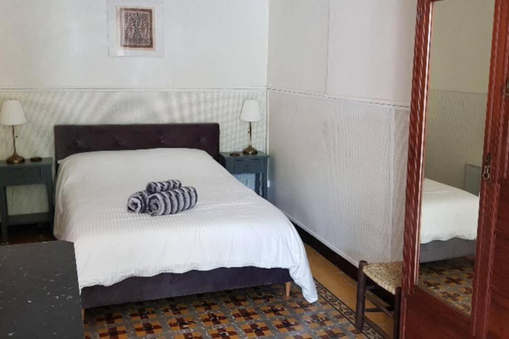 St Jean Du Gard : Spacious Apartment With Use Of Pool 圣让杜加尔 外观 照片